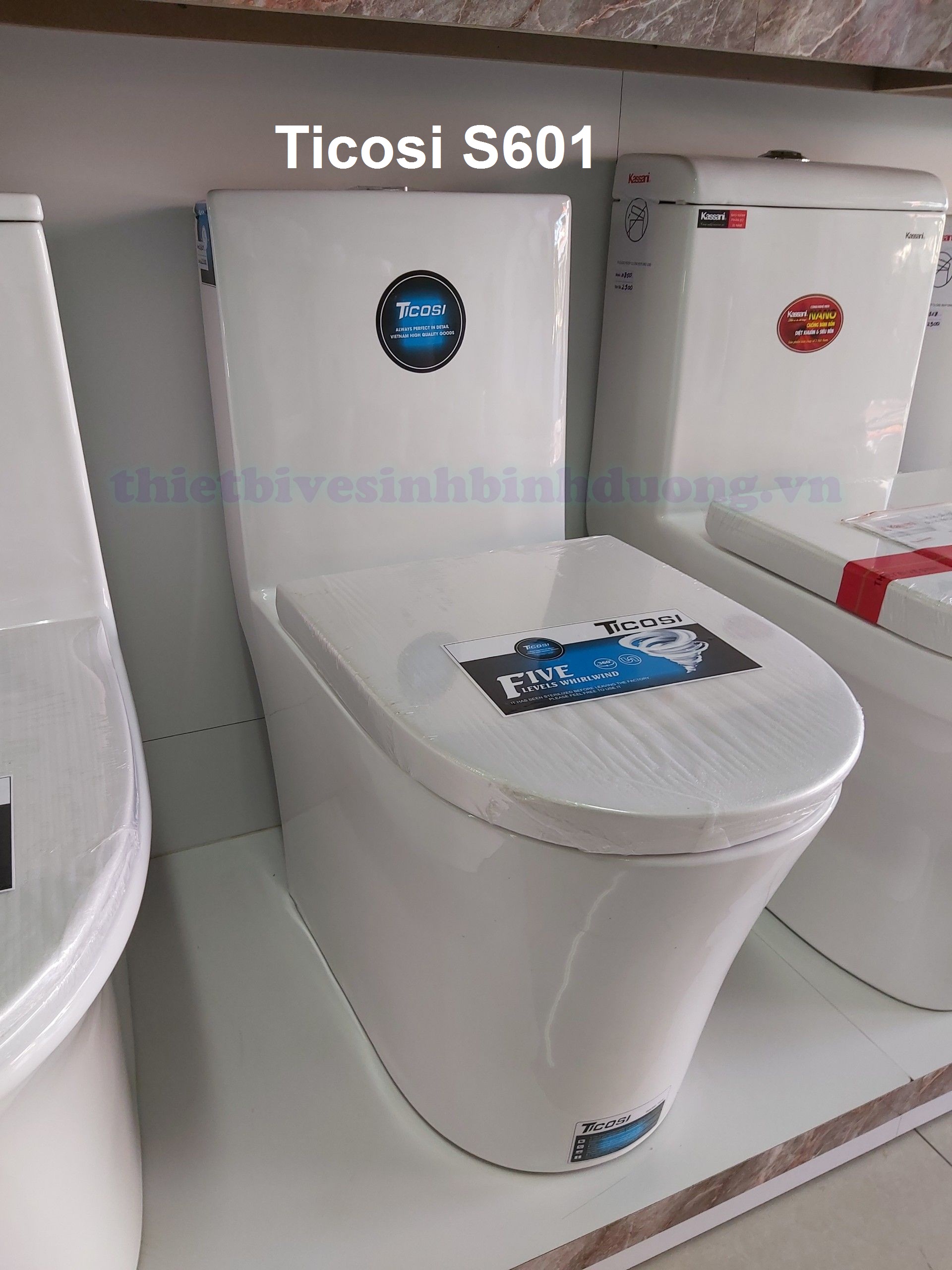 Hình thực tế Bồn cầu TICOSI S601